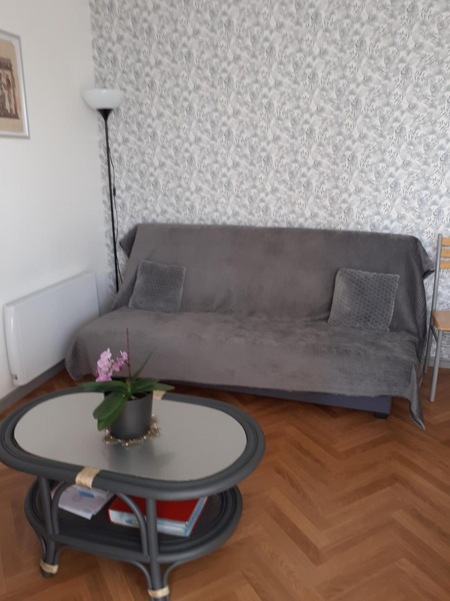 Appartement Pour Famille Amis Ou Colegue Шоле Екстер'єр фото